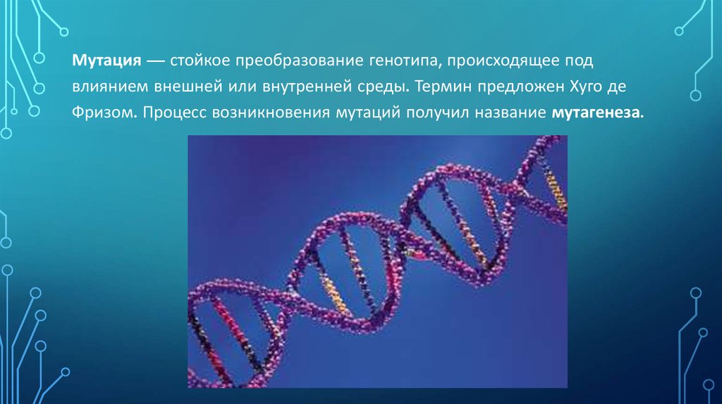 Генные мутации картинки для презентации