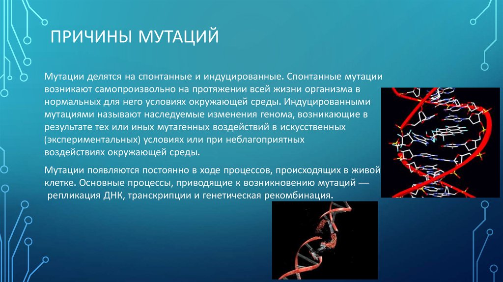 Изменение генома клетки. Возникновение мутаций. Факторы возникновения мутаций. Причины индуцированных мутаций. Процесс возникновения мутаций.