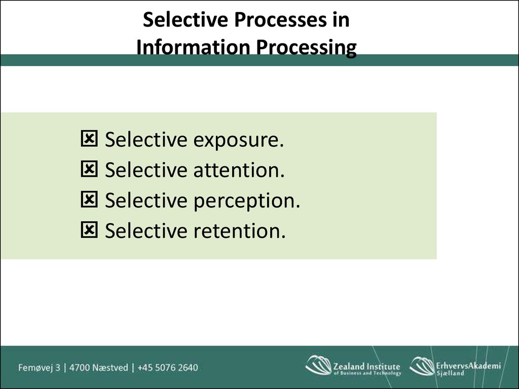 Selective Processes in Information Processing