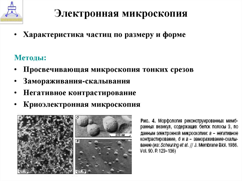 Микроскопические параметры. Методы изготовления микрообъектов для электронной микроскопии.. Сканирующая электронная микроскопия описание метода. Метод сканирующей электронной микроскопии. Электронная микроскопия особенности микроскопа.