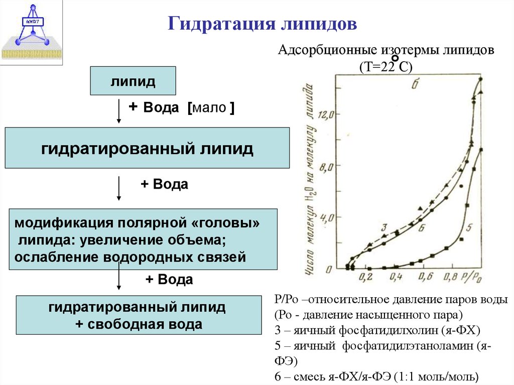 Теплота фазового перехода