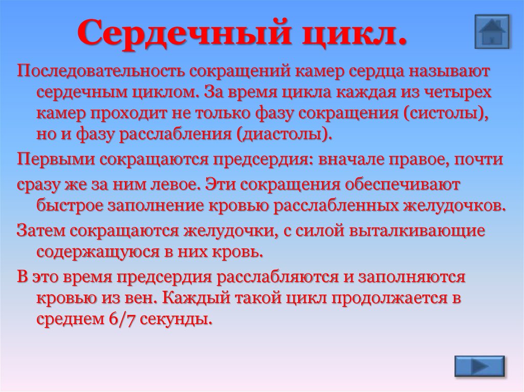 Последовательность сокращение. Последовательность сокращений камер сердца. Сердечный цикл. Последовательность цикла сердца. Последовательность сокращения сердца.