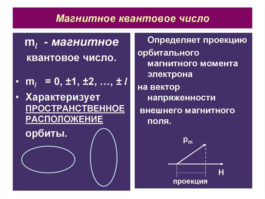 Магнитное квантовое число