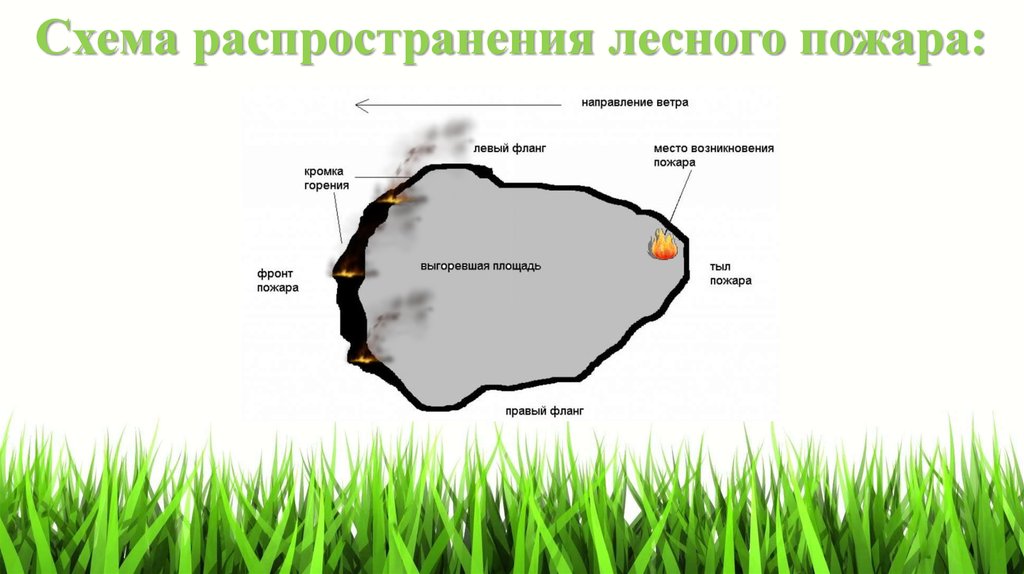 Распространение огня. Лесные пожары схема. Схема распространения лесного пожара. План схема лесного пожара. Элементы лесного пожара схема.