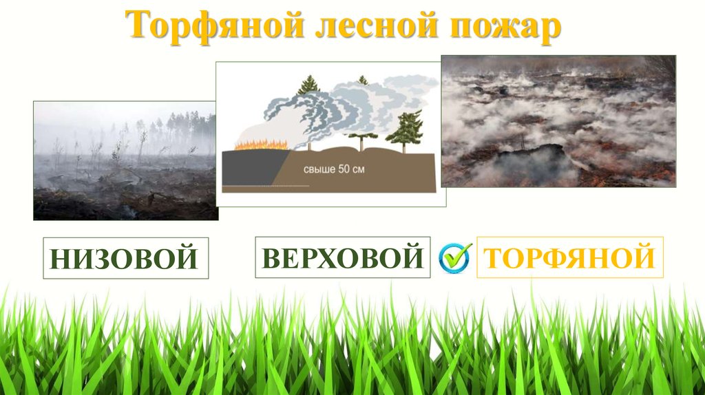 Торфяной лесной пожар