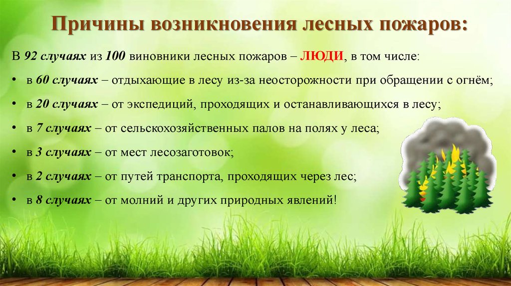 Происхождение природных пожаров. Причины возникновения лесных пожаров. Причины возникновения местных пожаров. Основные причины возникновения лесных пожаров. Основные причины возникновения пожаров в лесу.