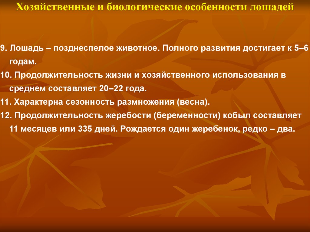 Хозяйственно биологические особенности. Хозяйственно-биологические особенности лошадей. Биологические особенности лошадей. Хозяйственные особенности лошадей. Биологические признаки лошади.