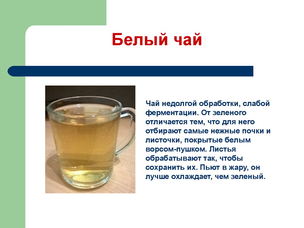Зеленый чай текст. Чем отличается белый чай от зеленого. Отличие белого и зеленого чая. Белый чай и зелёный разница. Чем отличается белый чай от зеленого чая.