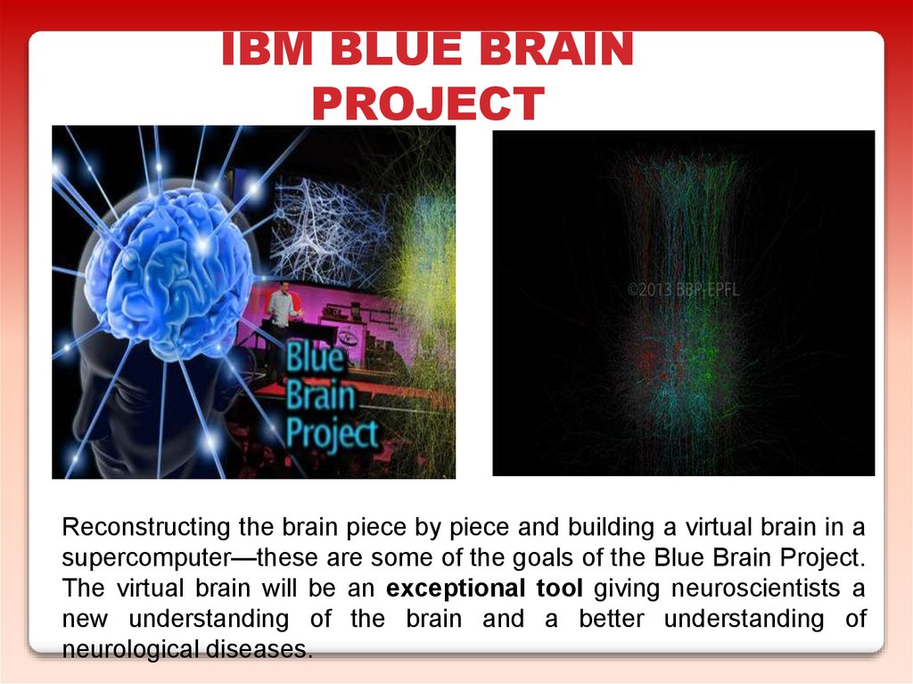 Brain project