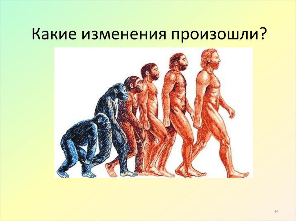 Направления эволюции человека