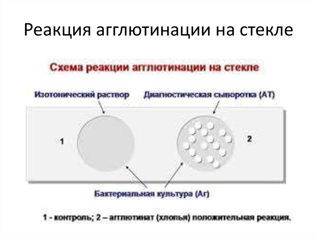 Реакция на стекло