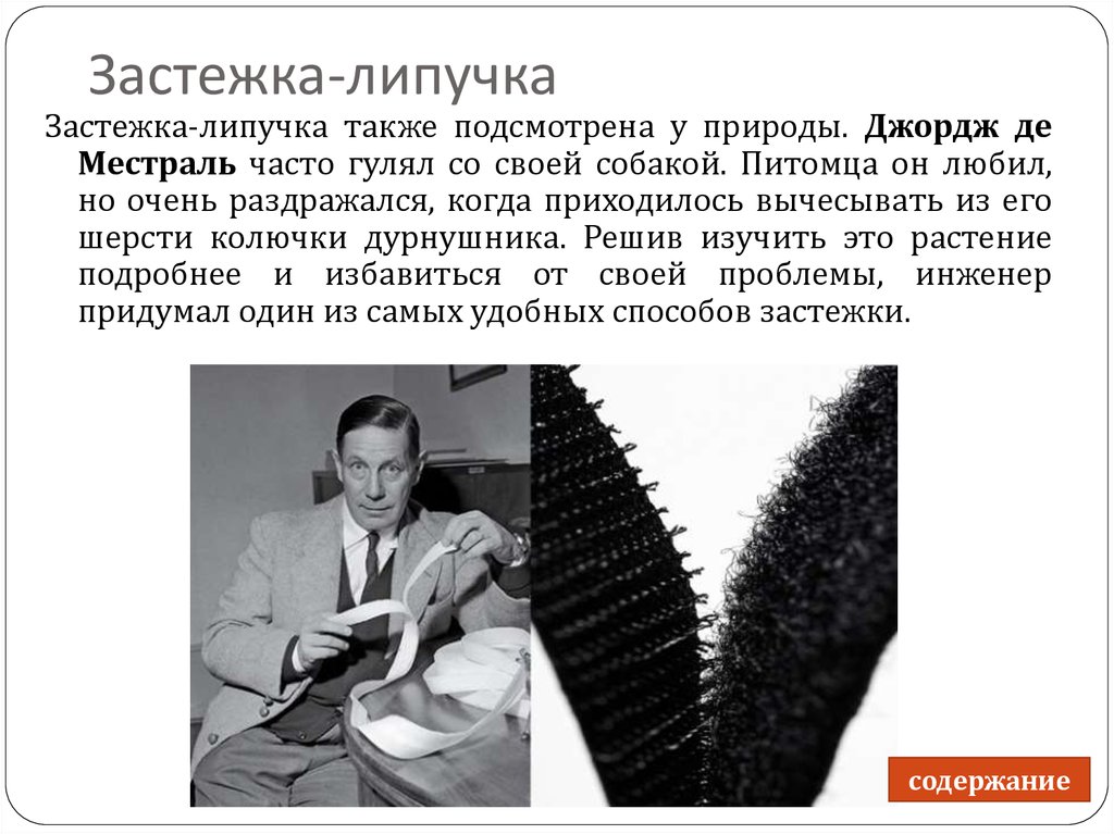 День липучки. Застежка липучка. Застежка-липучка де местраля. Изобретатель липучки.