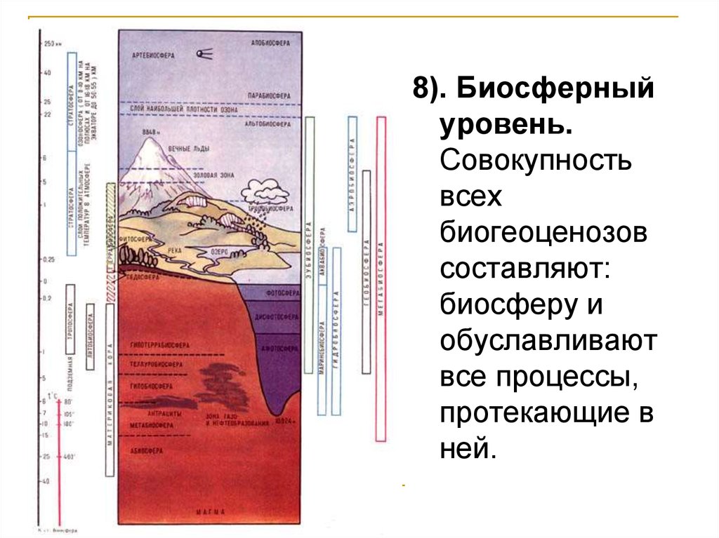 Биосферный уровень. Методы изучения биосферного уровня. Процессы протекающие на биосферном уровне.