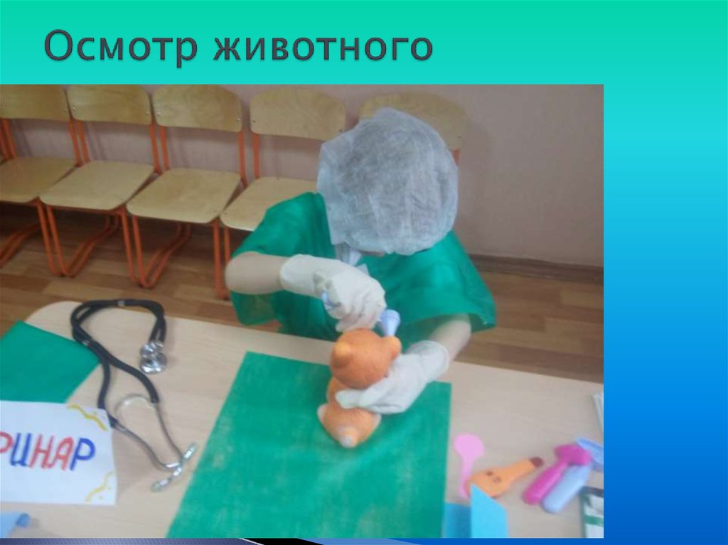 Осмотр животного