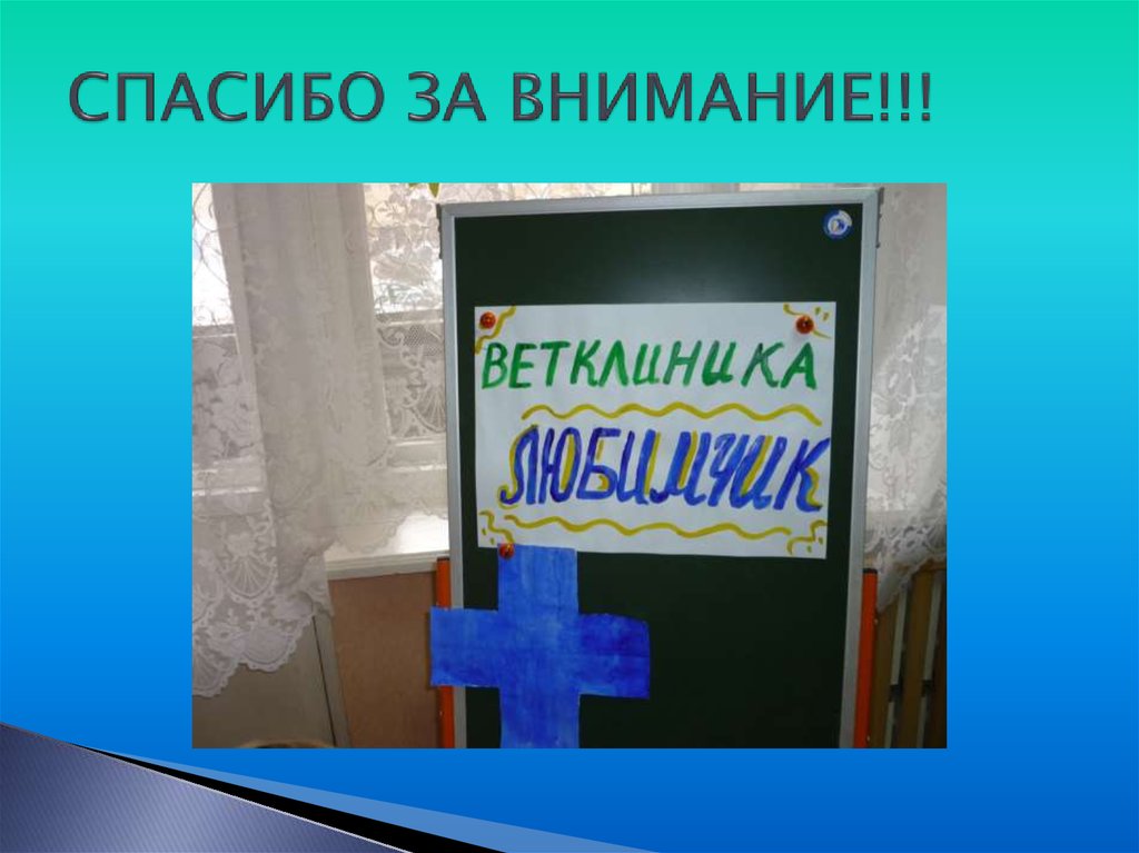 СПАСИБО ЗА ВНИМАНИЕ!!!