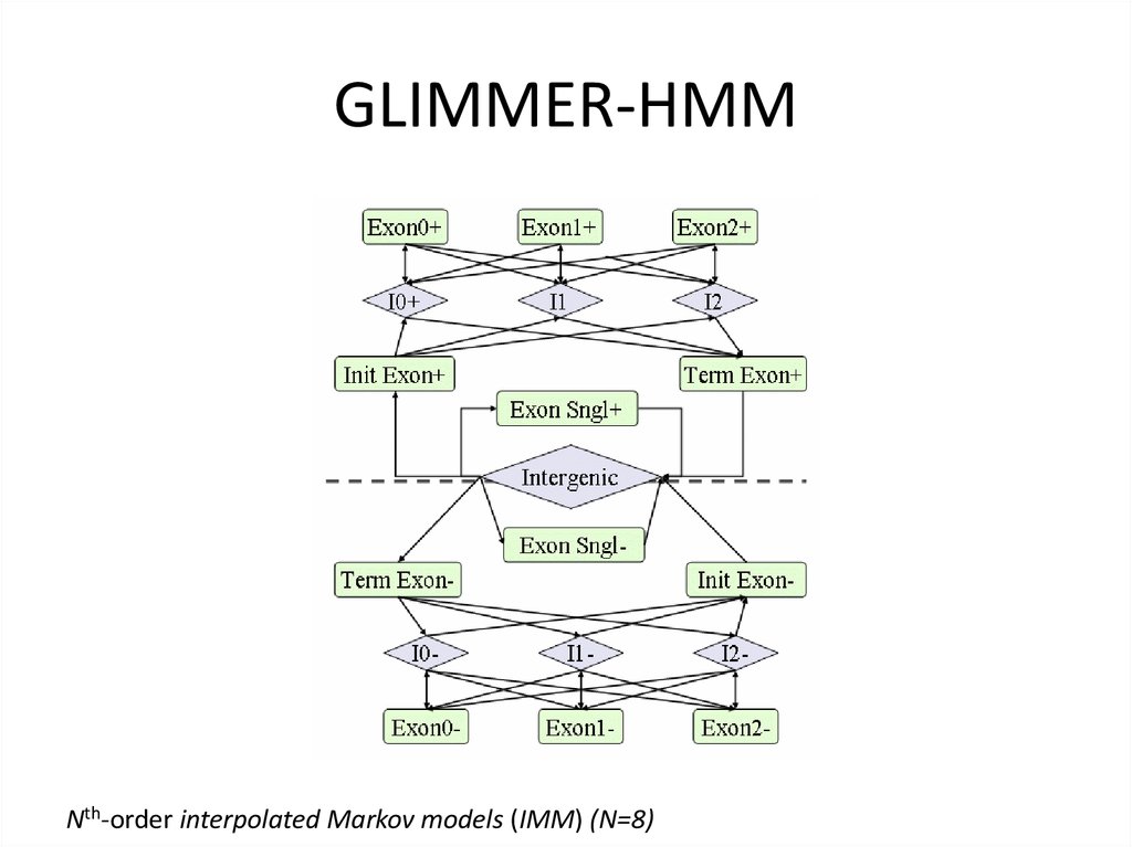 IMMs vs Fixed-Order Models