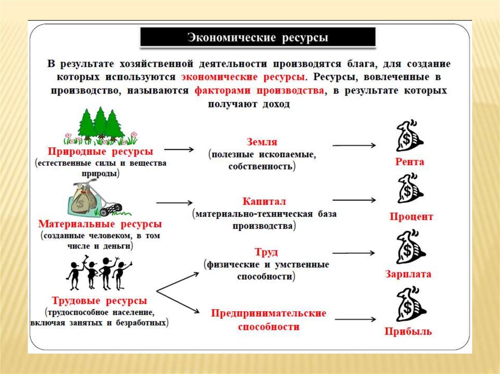 Волосы приглажены разработанный план дисциплинированный сын груженный