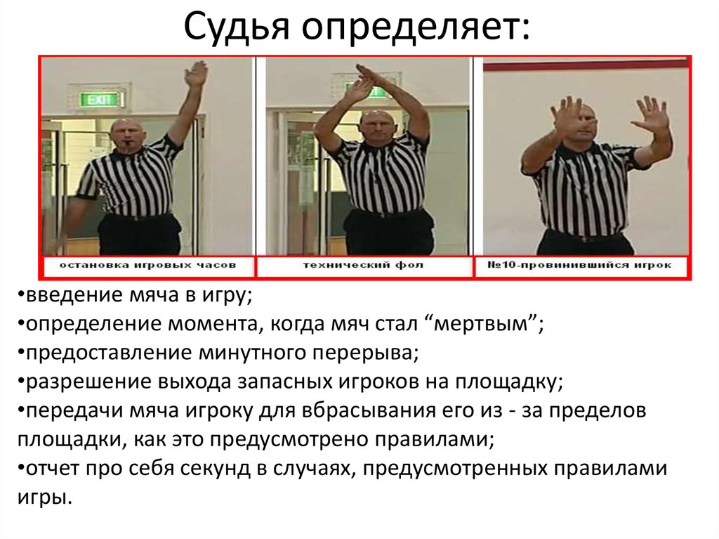 Нарушение судей. Судейство в баскетболе. Жест судьи перерыв в баскетболе. Старший судья в баскетболе. Судейство игры в баскетбол.