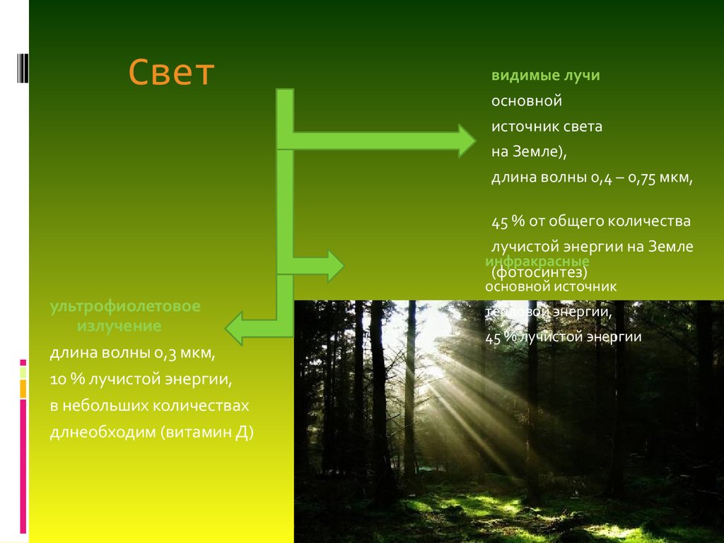 Экологическое значение света. Свет экологический фактор. Свет как экологический фактор. Влияние света на организмы экология. Влияние видимого света на живые организмы.