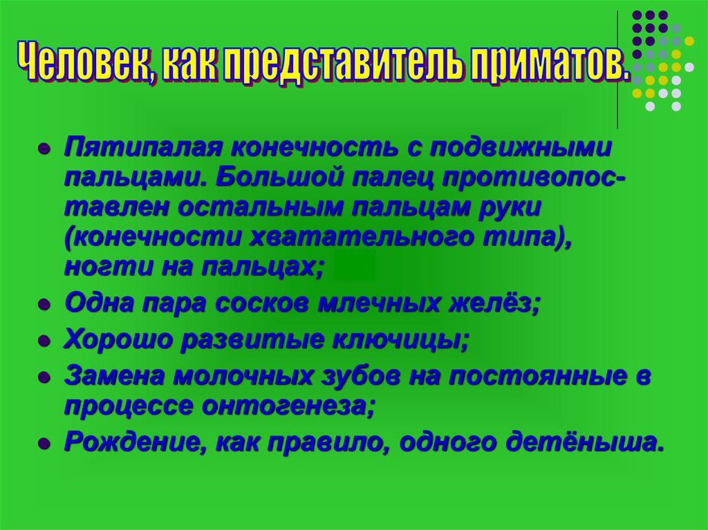 Человек представитель животного мира презентация