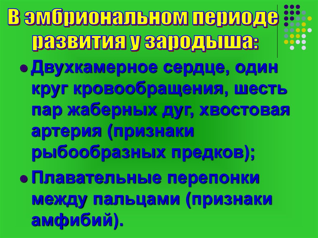 Положение человека в природе