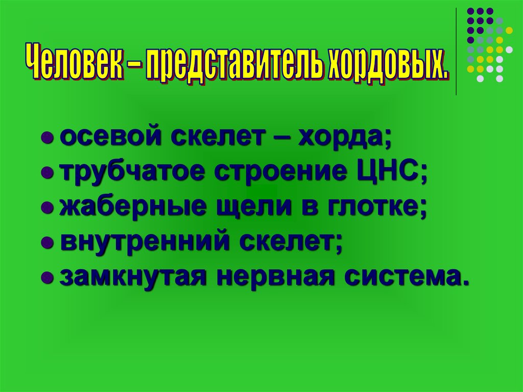 Положение человека в системе животного мира презентация 11 класс биология