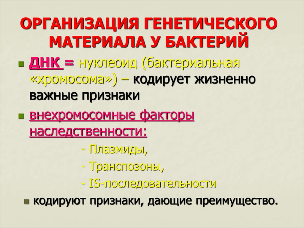 Генетическая карта микроорганизмов