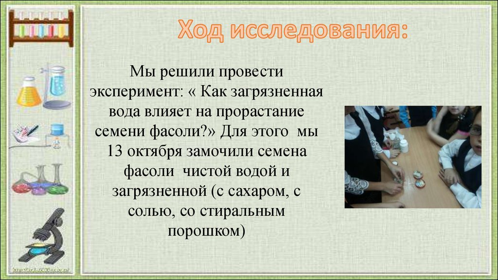 Как вода влияет на животных. Как провести эксперимент. Опыт загрязнение воды. Как провести эксперимент влияния воды на растения. Эксперимент по загрязнению воды описание.