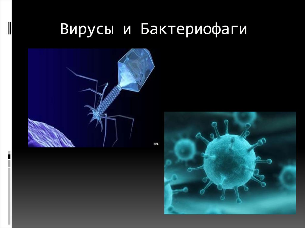 Наследственный аппарат вируса формы жизни бактериофаги. Неклеточные формы жизни бактериофаги. Бактериофаги- Пожиратели бактерий. Вирус бактериофаг. Вирусы и фаги.
