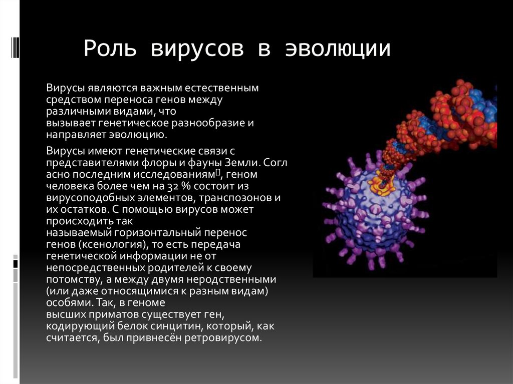 Вирусы относятся к живым организмам. Эволюция вирусов. Роль вирусов. Роль вирусов в эволюции жизни на земле. Функции вирусов.