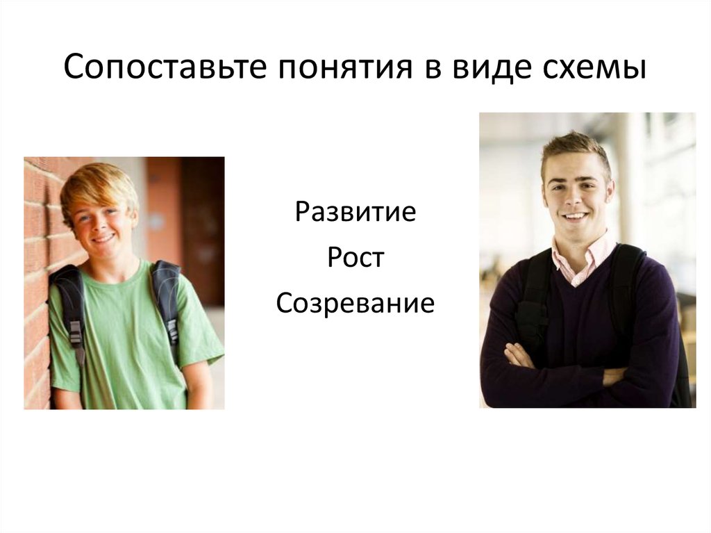 Сопоставьте понятие