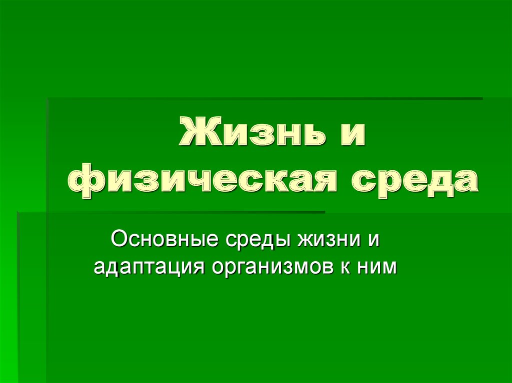 Основная среда