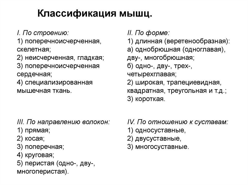 Классификация мышц. Мышечная система человека классификация. Классификация мышц по их локализации. Как классифицируются мышцы. Основные принципы классификации мышц своими словами.