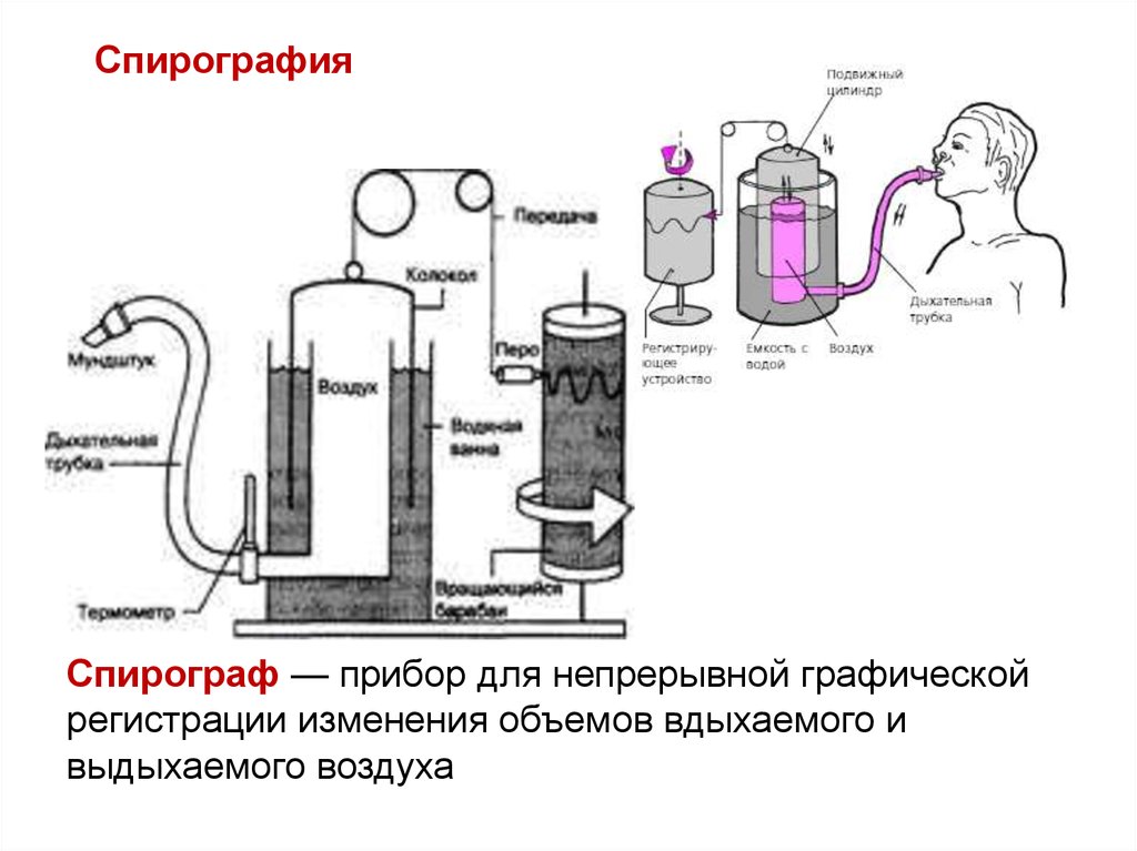 Структурная схема спирографа