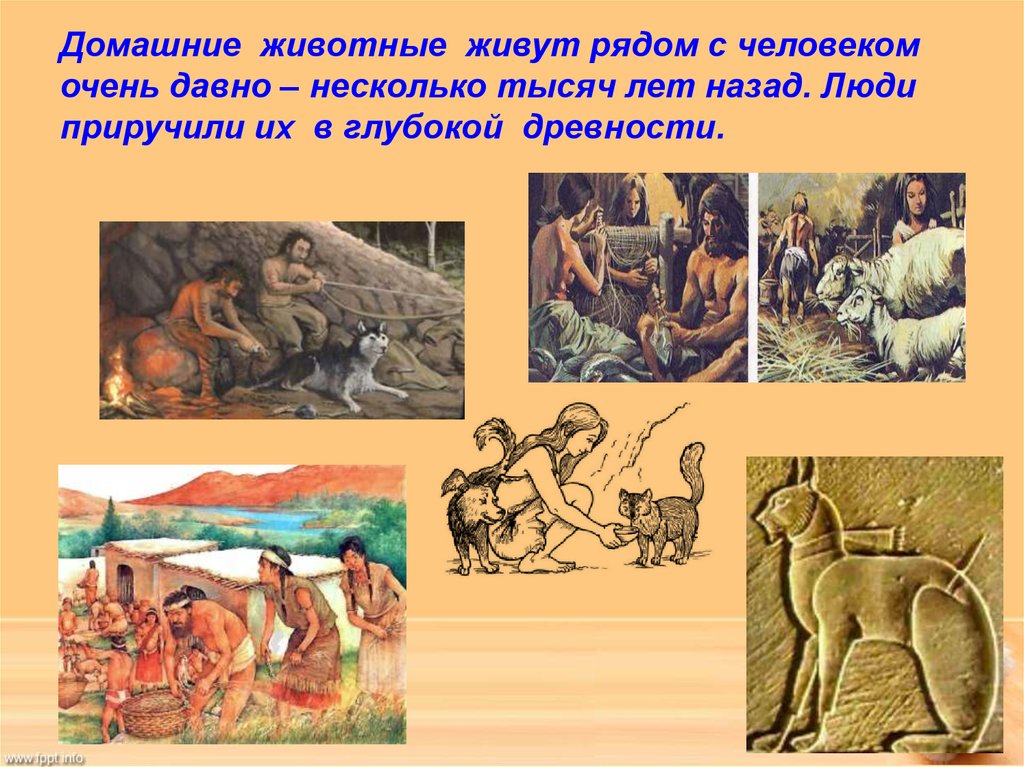 Человек стал животным. Приручение животных человеком. Древние люди приручили собаку. Первые прирученные животные человеком. Приручение животных древними людьми.