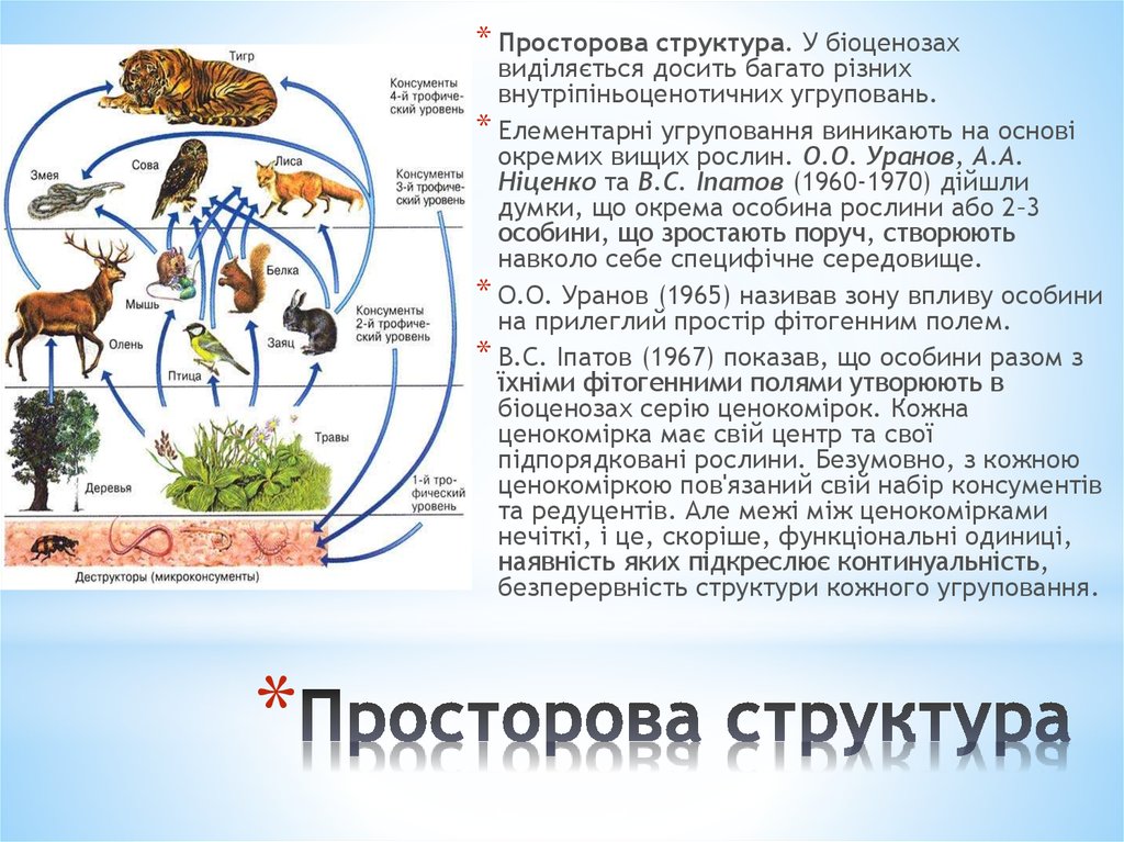 Высокая численность консументов 3 порядка наличие круговорота