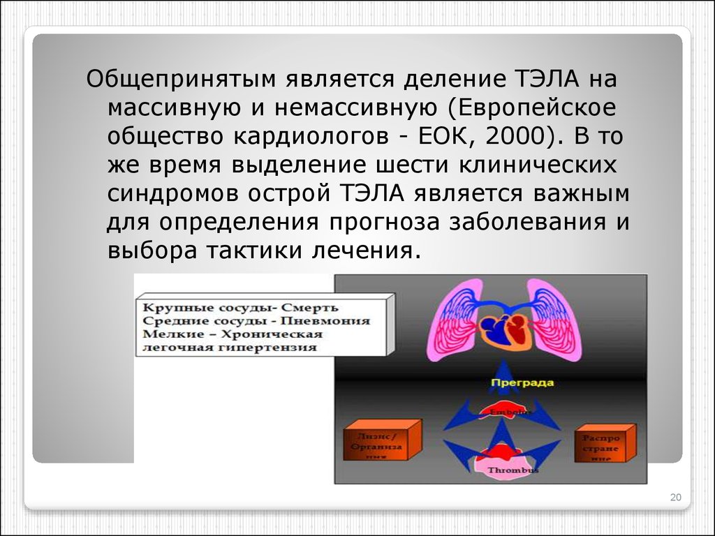 Немассивная Тэла. Массивная и немассивная Тэла. Общепринятым является.