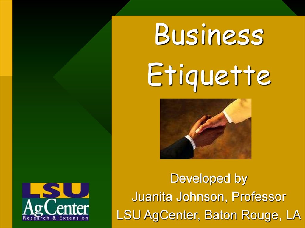 Business etiquette - online presentation
