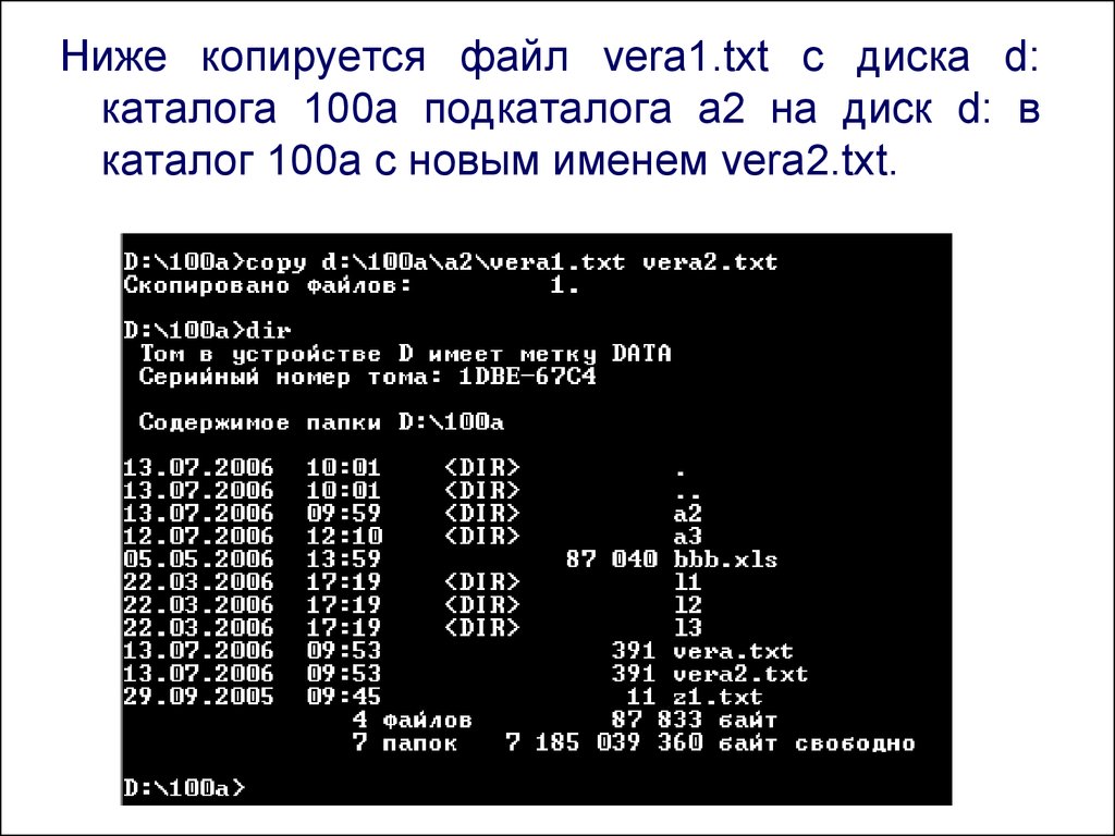 24 s1 txt. MS dos презентация. С диска txt. Файл - каталог диска Операционная система. Работа с тхт.
