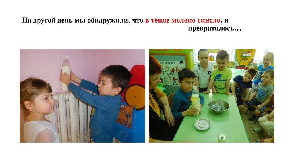 На другой день мы обнаружили, что в тепле молоко скисло, и превратилось…