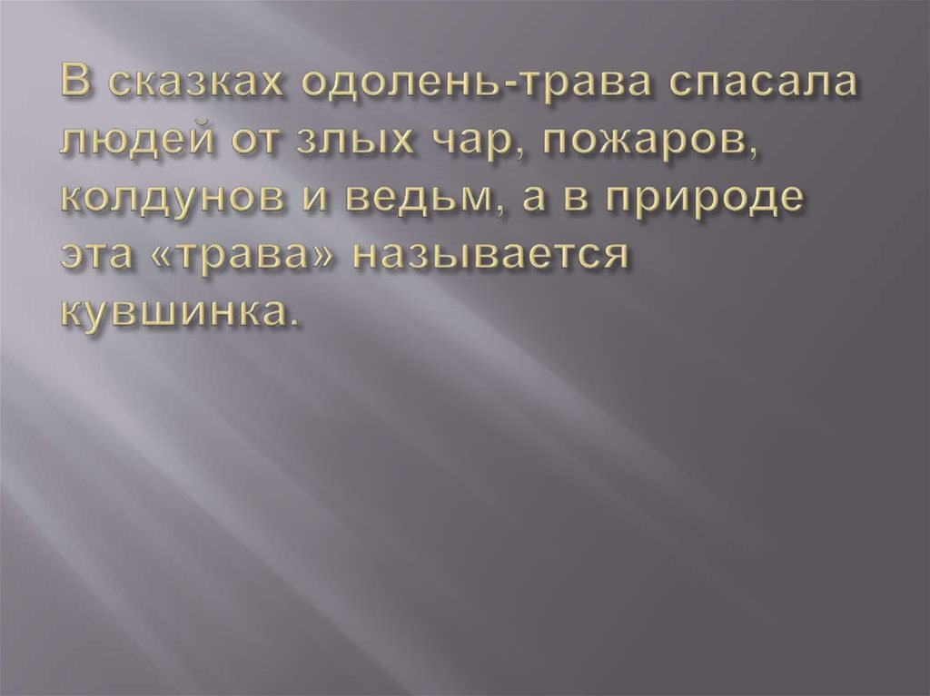 В сказках одолень-трава спасала людей от злых чар, пожаров, колдунов и ведьм, а в природе эта «трава» называется кувшинка.
