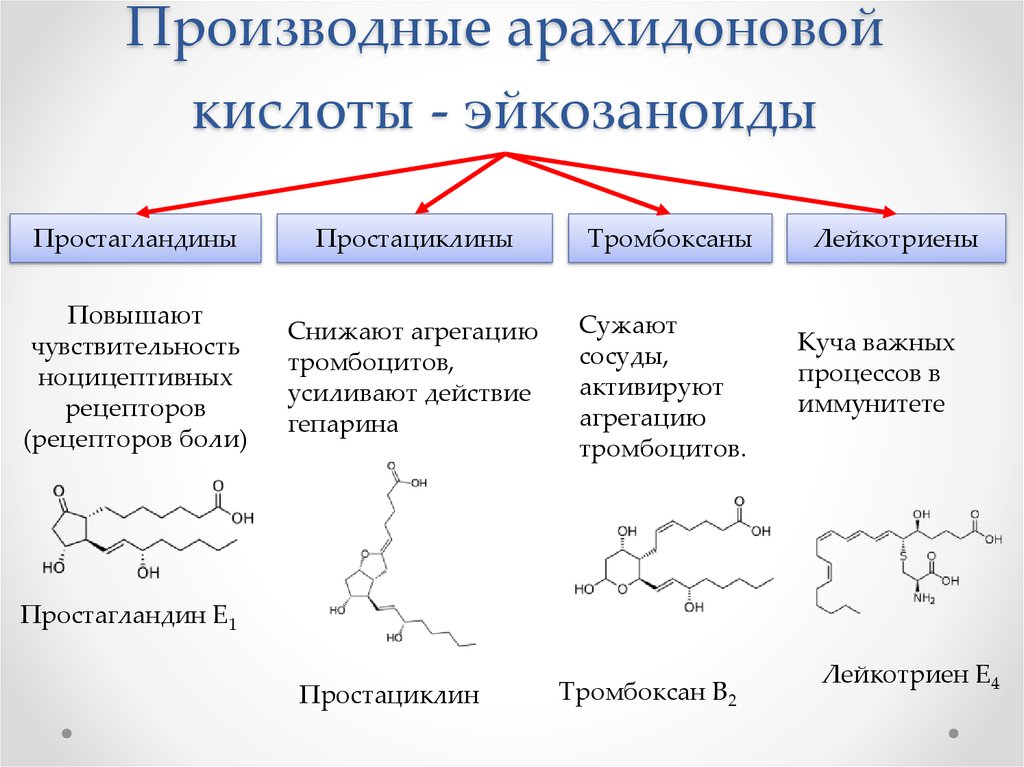 Основные группы бав. Производные арахидоновой кислоты кислоты. Биохимия эйкозаноиды простагландины. Гормоны производные арахидоновой кислоты. Арахидоновая кислота с19н31соон.