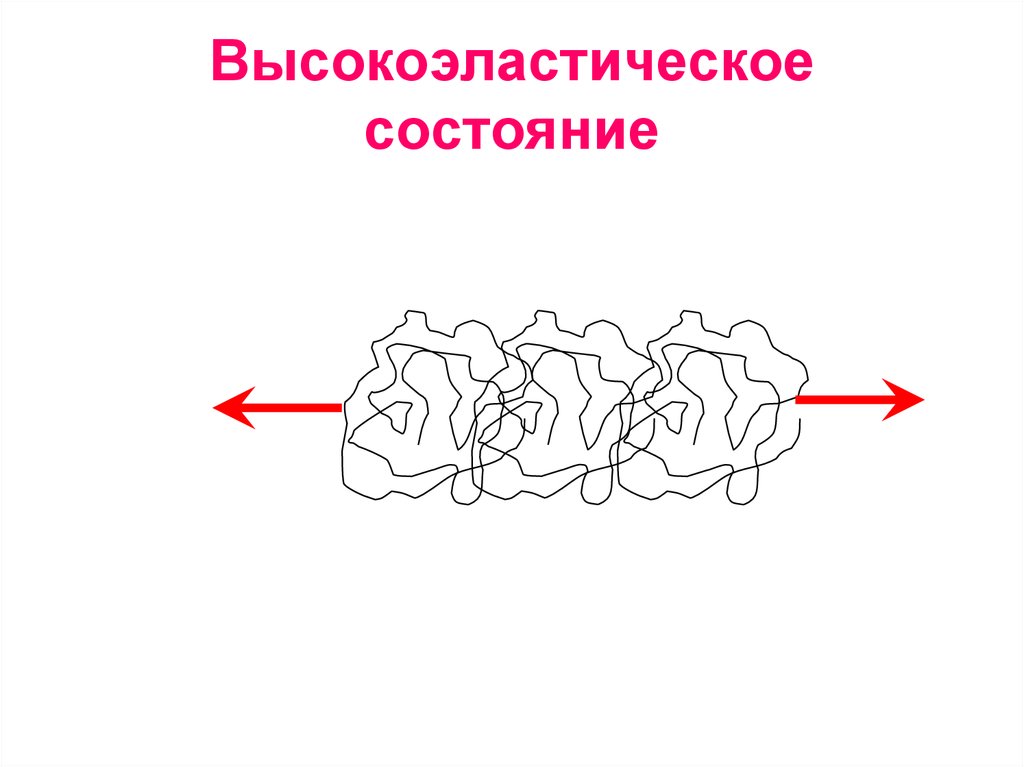 Физическая цепь. Высокоэластическое состояние полимеров. Особенности высокоэластического состояния полимеров. Сущность высокоэластического состояния полимера. Четыре физических состояния полимеров.