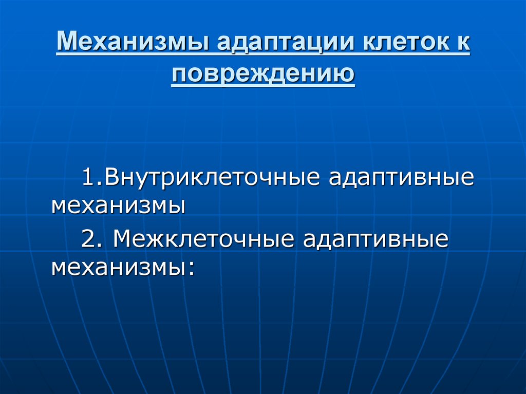 Функциональные приспособительные изменения