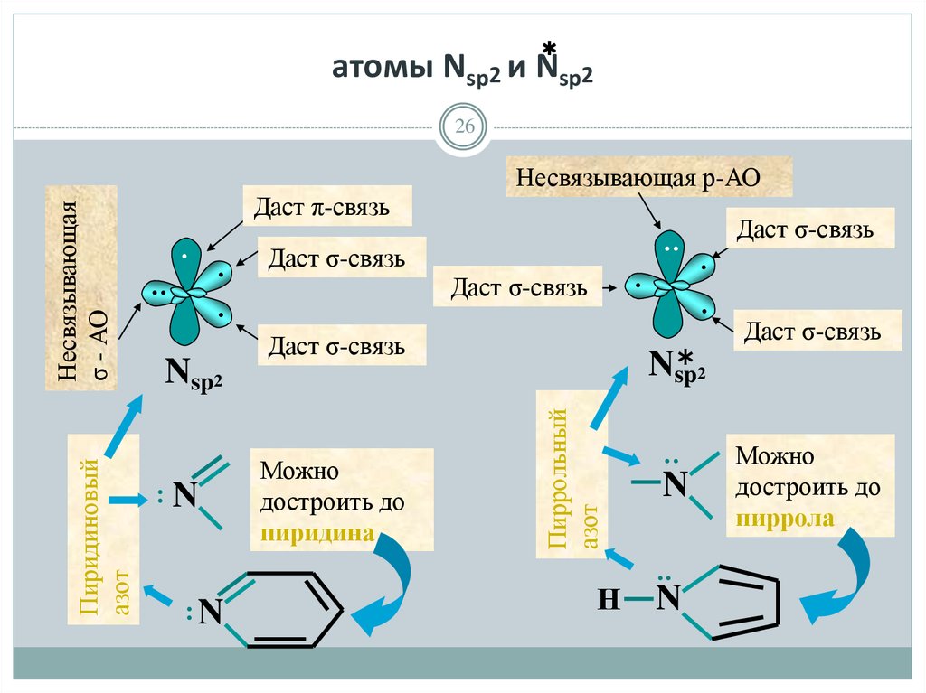 атомы Nsp2 и Nsp2