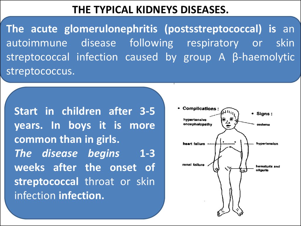 THE TYPICAL KIDNEYS DISEASES.