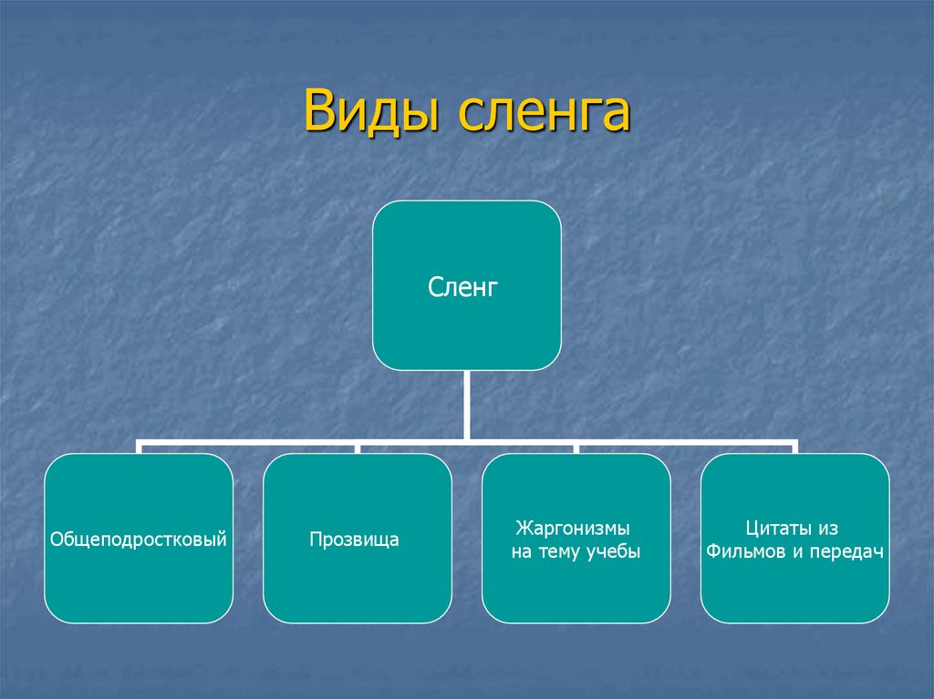 Какие виды изображения есть