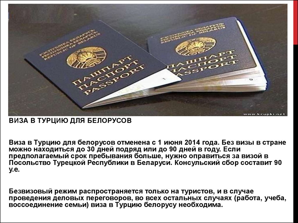 Граждане турции без визы. Виза в Турцию для белорусов. Виза в Турцию. Какие документы нужны для поездки в Турцию. Белорусы без визы.