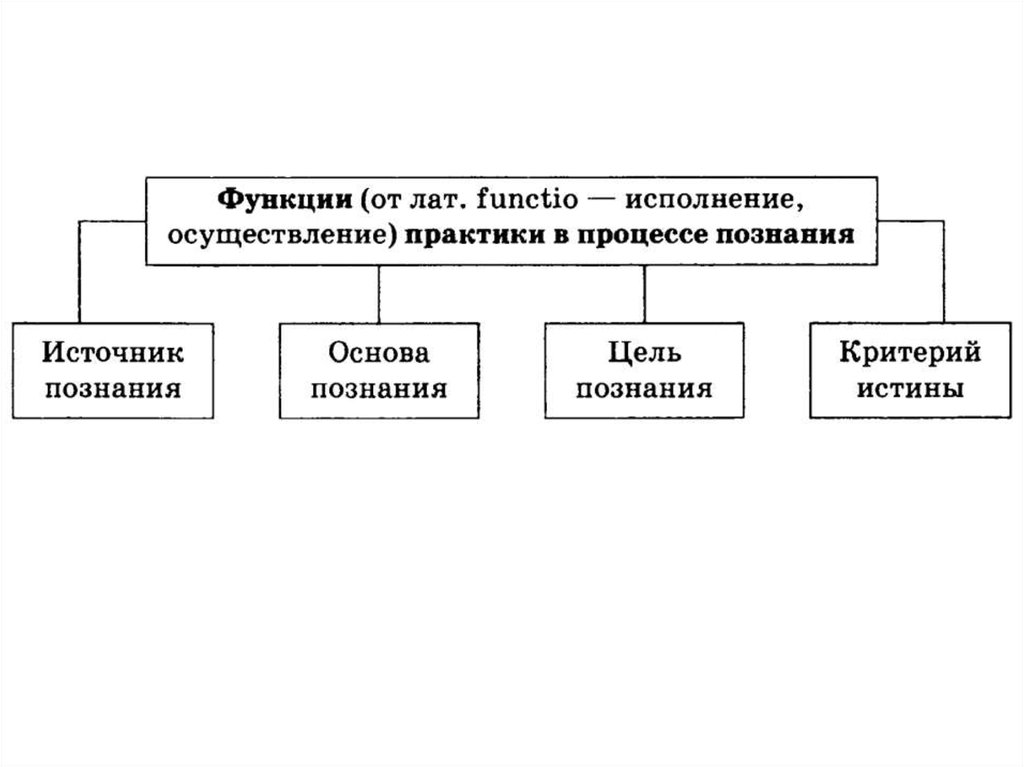 Функция лат. Функция лат