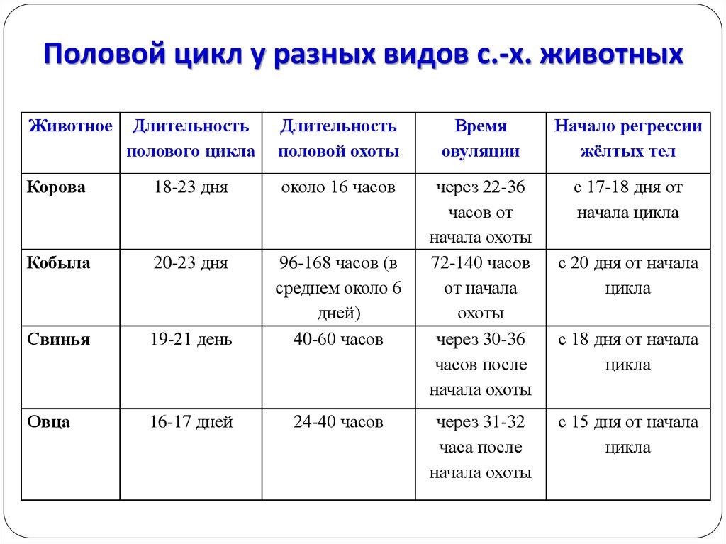 Стадии полового цикла. Продолжительность полового цикла у разных животных. Фазы полового цикла у животных. Продолжительность полового цикла у коров. Стадии полового цикла у животных.